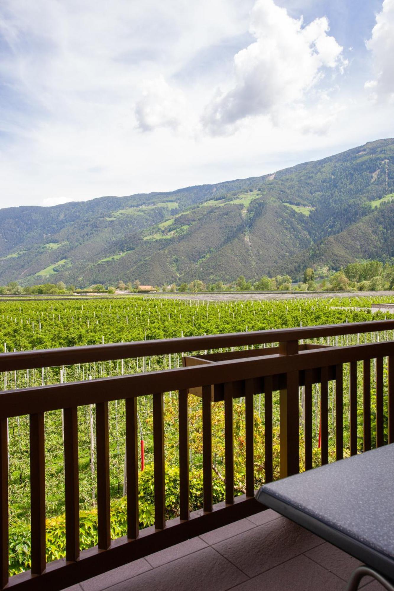 Hof Schupfer - Alpstay Натурно Экстерьер фото