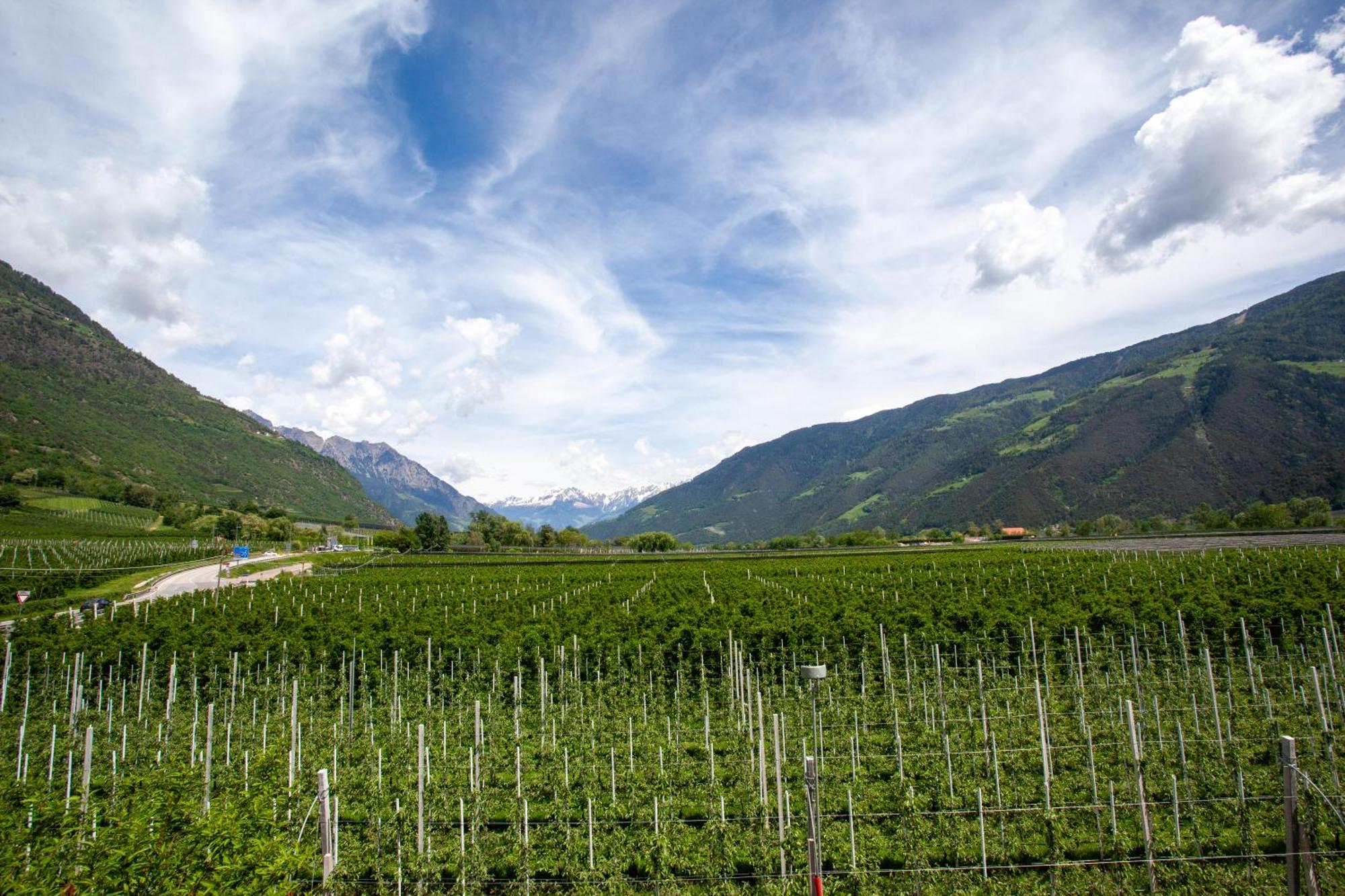 Hof Schupfer - Alpstay Натурно Экстерьер фото