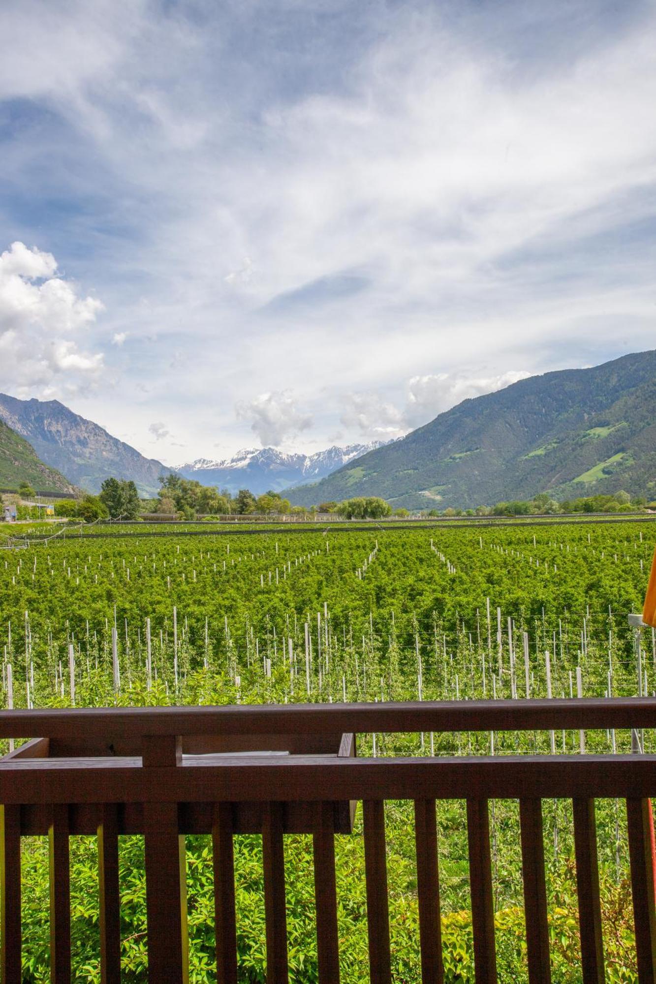 Hof Schupfer - Alpstay Натурно Экстерьер фото